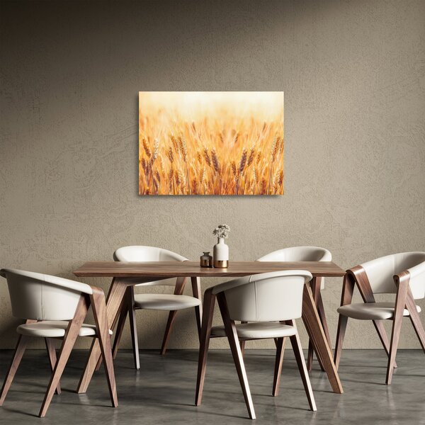 Skleněný obraz - pole s obilím (70x50 cm)