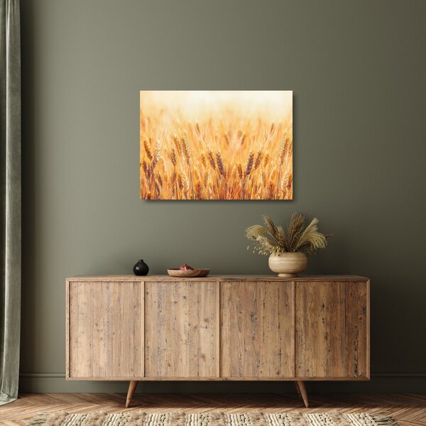Skleněný obraz - pole s obilím (70x50 cm)