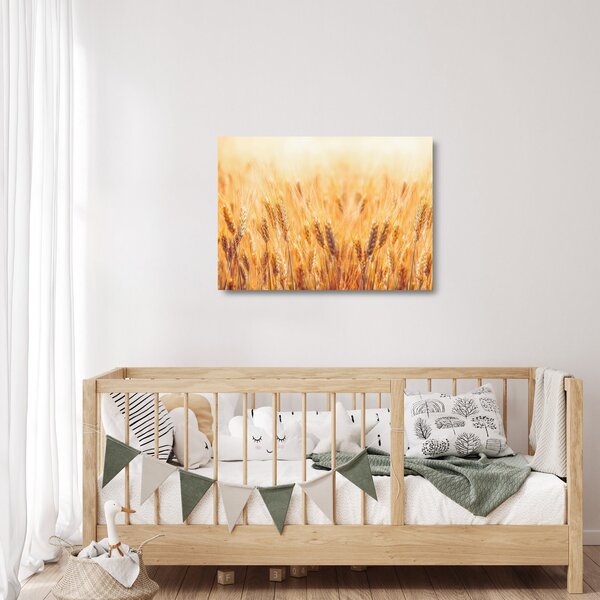 Skleněný obraz - pole s obilím (70x50 cm)
