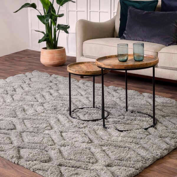 Tribeca Design Kusový koberec Artas Silver Rozměry: 120x170 cm