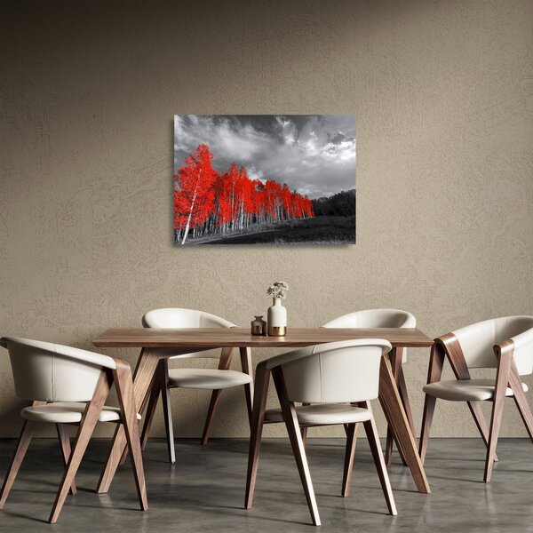 Skleněný obraz - Stromy v barvě podzimu (70x50 cm)