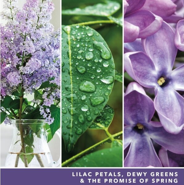 Yankee Candle - Vonná svíčka LILAC BLOSSOMS velká 567g 60-90 hod