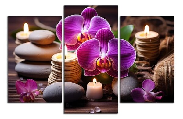Obraz na plátně Zen kameny a orchideje