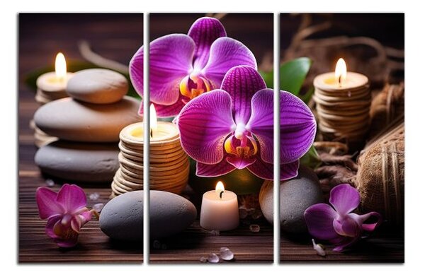 Obraz na plátně Zen kameny a orchideje