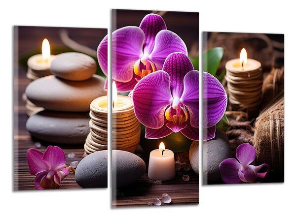 Obraz na plátně Zen kameny a orchideje