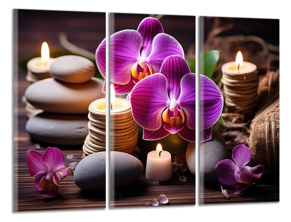 Obraz na plátně Zen kameny a orchideje