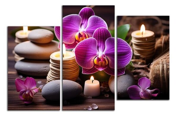 Obraz na plátně Zen kameny a orchideje