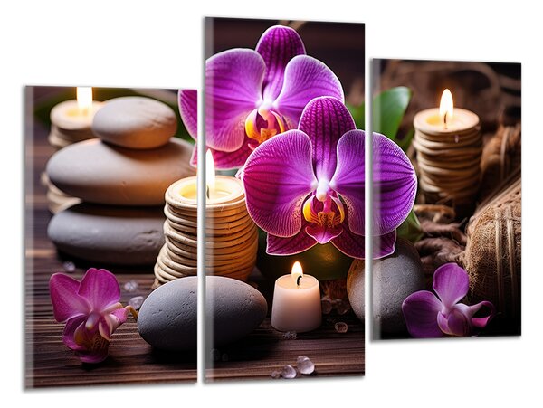Obraz na plátně Zen kameny a orchideje