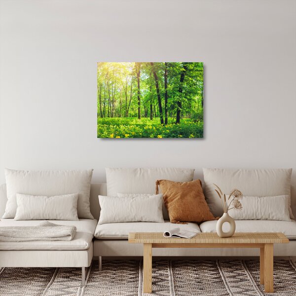 Skleněný obraz - Jarní listnatý les (70x50 cm)