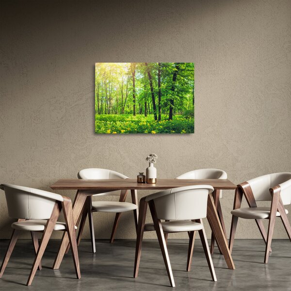 Skleněný obraz - Jarní listnatý les (70x50 cm)
