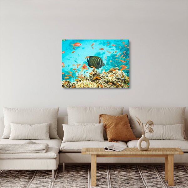 Skleněný obraz podmořského světa (70x50 cm)