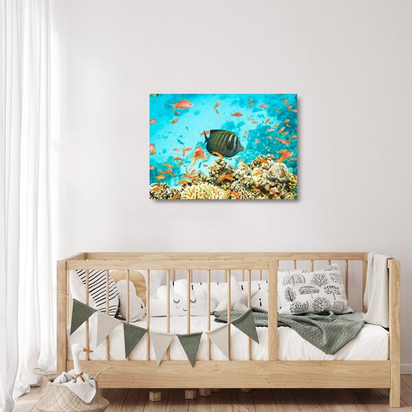 Skleněný obraz podmořského světa (70x50 cm)