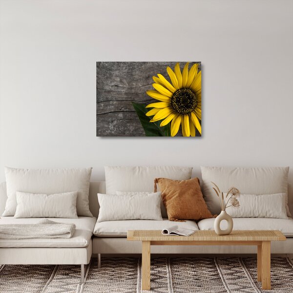 Skleněný obraz - Květ slunečnice (70x50 cm)