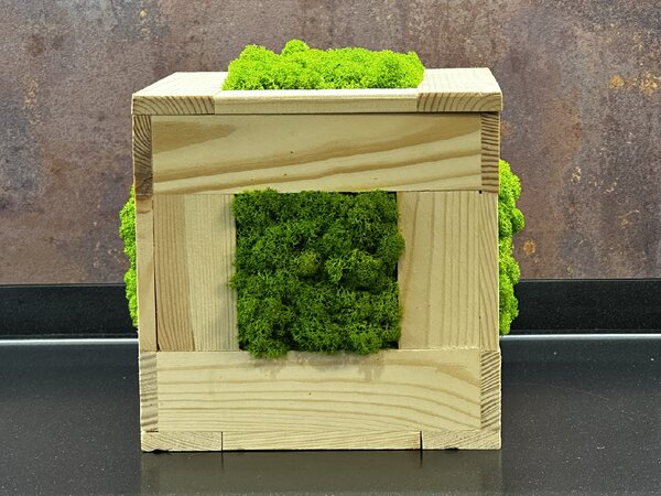 Mechová stolní dekorace 20 cm - kostka Velikost: 20x20cm