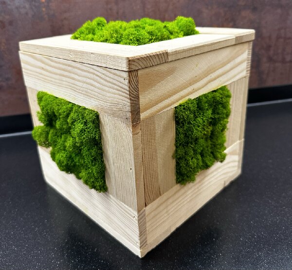 Mechová stolní dekorace 20 cm - kostka Velikost: 20x20cm