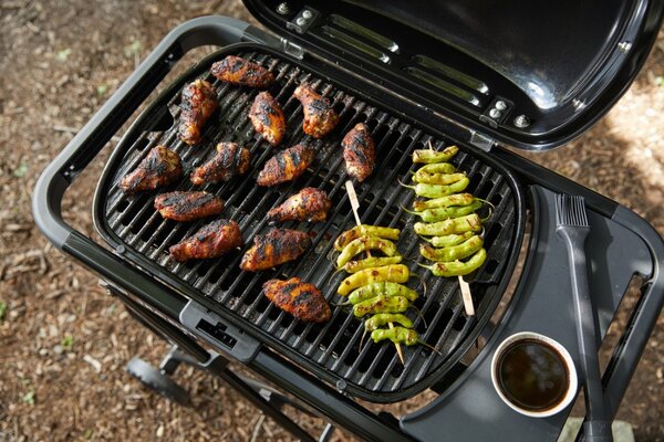 Weber Plynový cestovní gril Traveler Compact