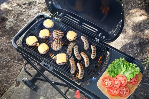 Weber Plynový cestovní gril Traveler