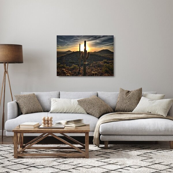 Skleněný obraz - kaktusy ve slunci (70x50 cm)