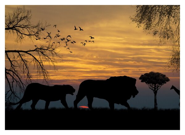 Skleněný obraz Safari (70x50 cm)