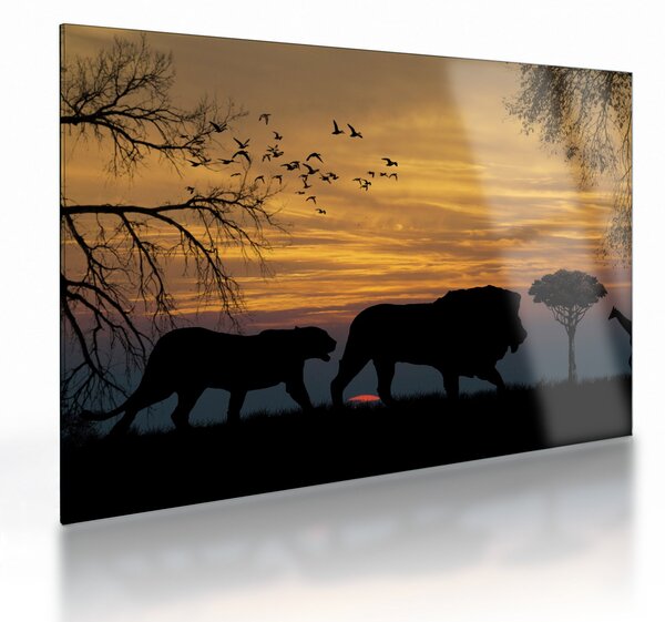 Skleněný obraz Safari (70x50 cm)