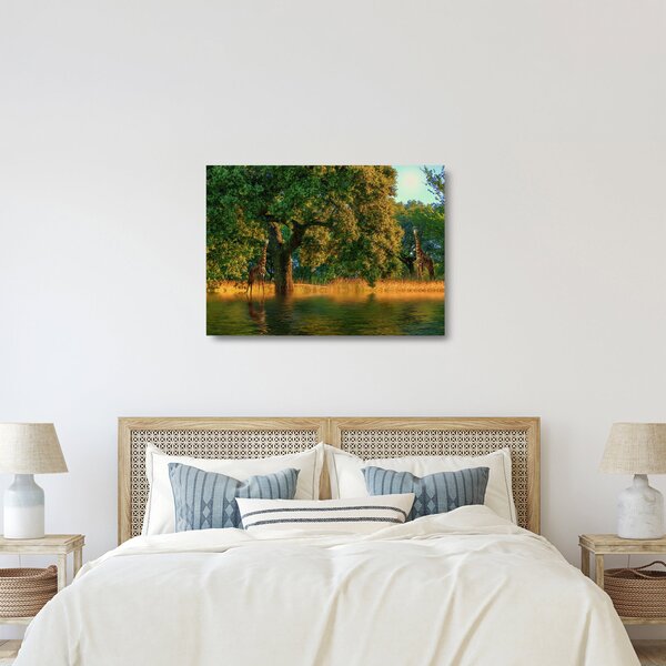 Skleněný obraz žiraf v přírodě (70x50 cm)