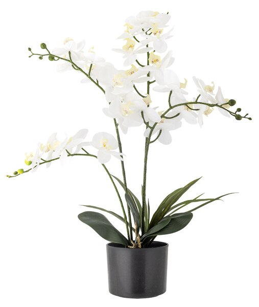 Orchidej, zelená, umělé květiny BLOOMINGVILLE