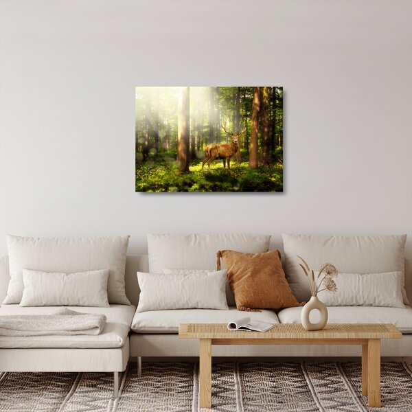 Skleněný obraz jelena v lese (70x50 cm)