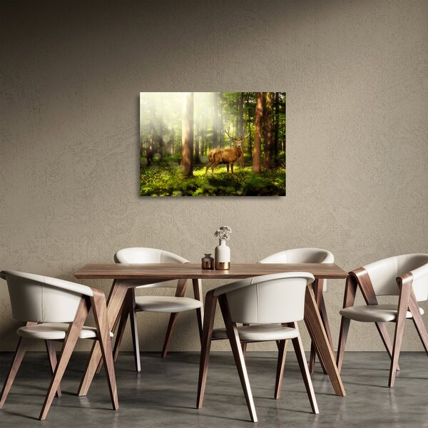 Skleněný obraz jelena v lese (70x50 cm)