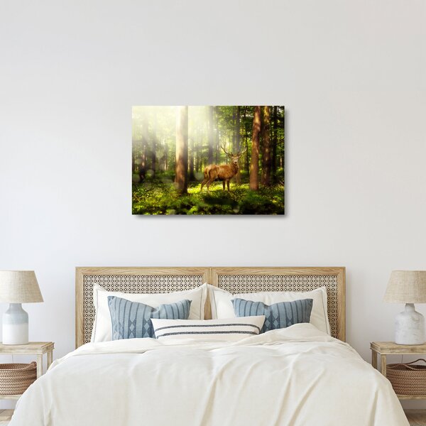 Skleněný obraz jelena v lese (70x50 cm)