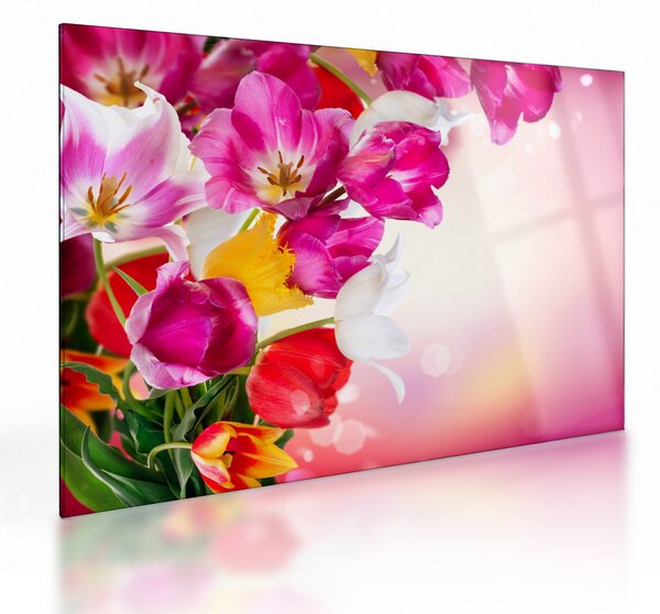 Skleněný obraz tulipánů (70x50 cm)
