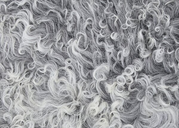 Skinnwille Home Collection Polštář tibetská kožešina přírodní, Natural Grey. 40x40 cm
