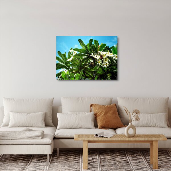Skleněný obraz - Plumerie (70x50 cm)
