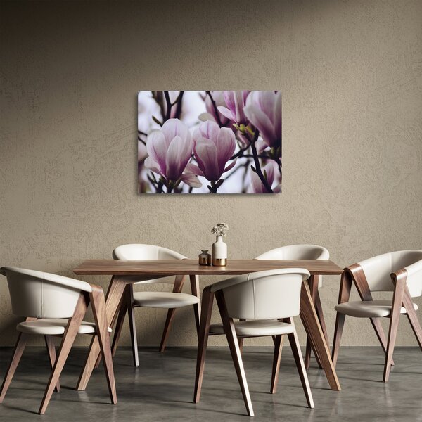 Skleněný obraz - Magnolie (70x50 cm)