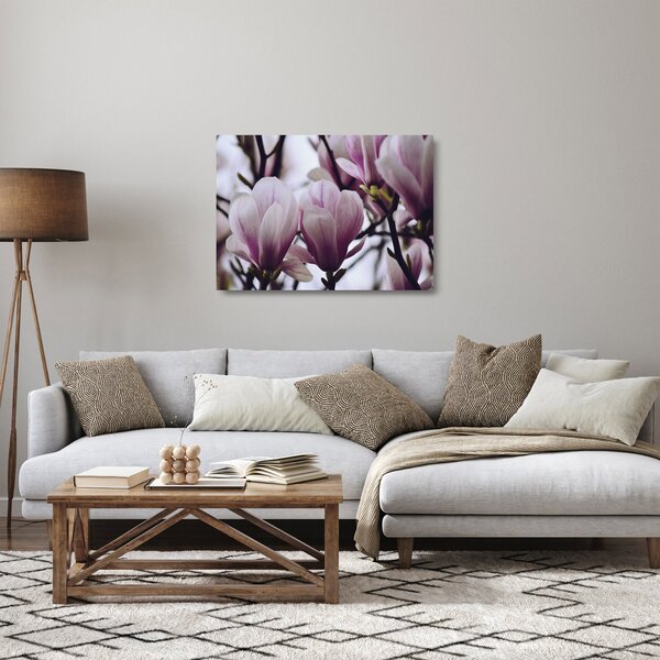 Skleněný obraz - Magnolie (70x50 cm)
