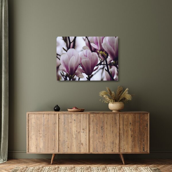 Skleněný obraz - Magnolie (70x50 cm)