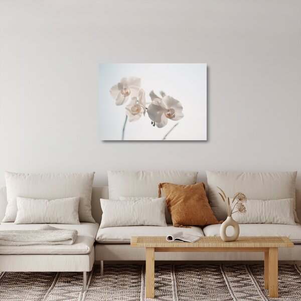 Skleněný obraz bílé orchideje (70x50 cm)