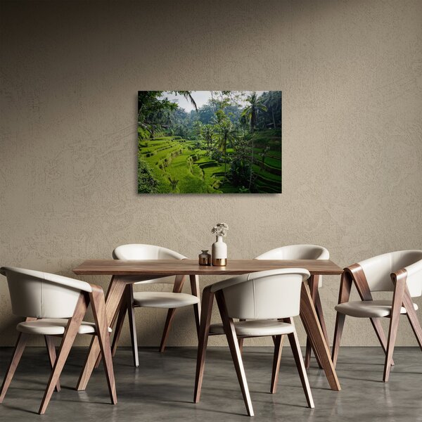 Skleněný obraz rýžových teras Tegalalang, Bali (70x50 cm)