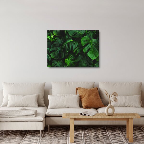 Skleněný obraz listů Monstery (70x50 cm)