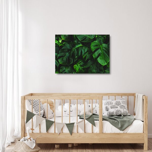 Skleněný obraz listů Monstery (70x50 cm)