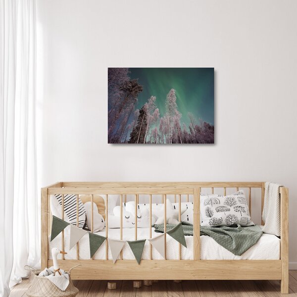 Skleněný obraz polární záře nad zmrzlými stromy (70x50 cm)