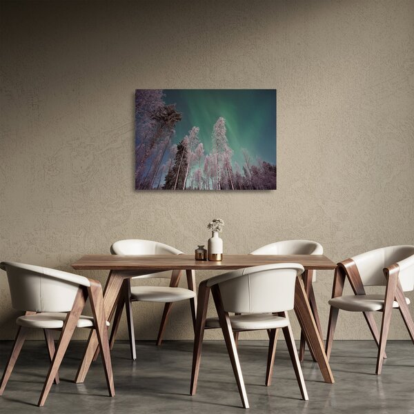 Skleněný obraz polární záře nad zmrzlými stromy (70x50 cm)