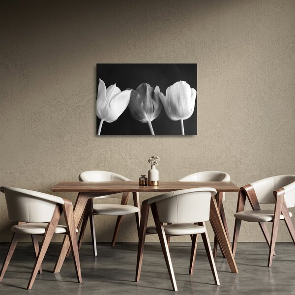 Skleněný obraz - Černobílé květy tulipánů (70x50 cm)