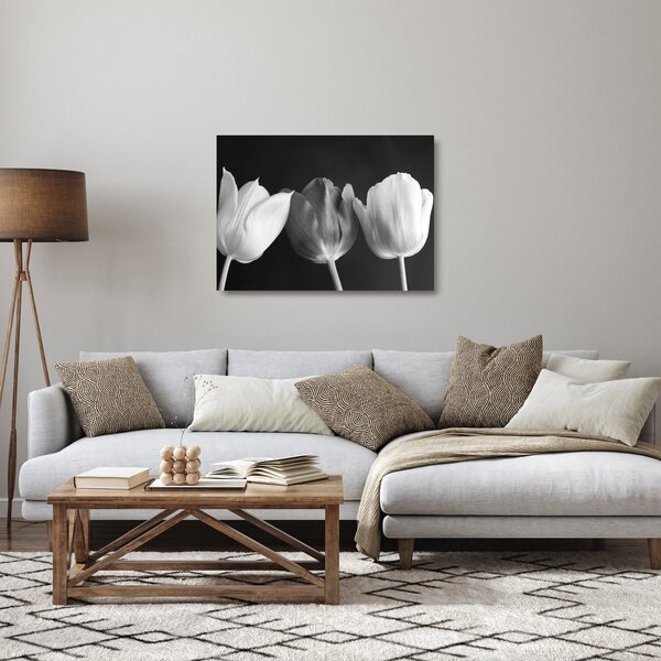 Skleněný obraz - Černobílé květy tulipánů (70x50 cm)