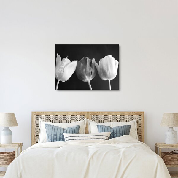 Skleněný obraz - Černobílé květy tulipánů (70x50 cm)