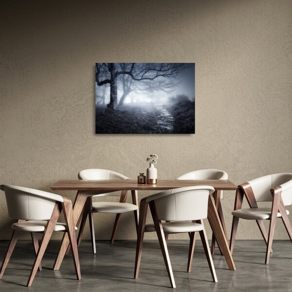 Skleněný obraz - Cesta v mlze (70x50 cm)