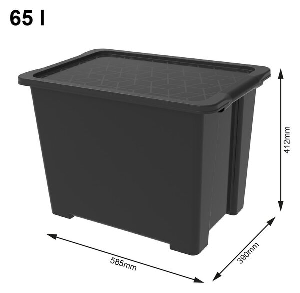 Leskle černý plastový úložný box s víkem Evo Easy - Rotho