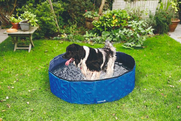 Beeztees Doggy Dip Bazén pro psy modrý 80x80x20cm Beeztees