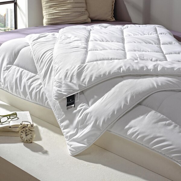 CELOROČNÍ PŘIKRÝVKA, 200/200 cm, polyester Billerbeck - Přikrývky
