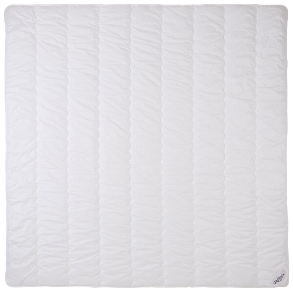 LETNÍ PŘIKRÝVKA, 200/200 cm, polyester, rouno, duté vlákno Sleeptex - Přikrývky