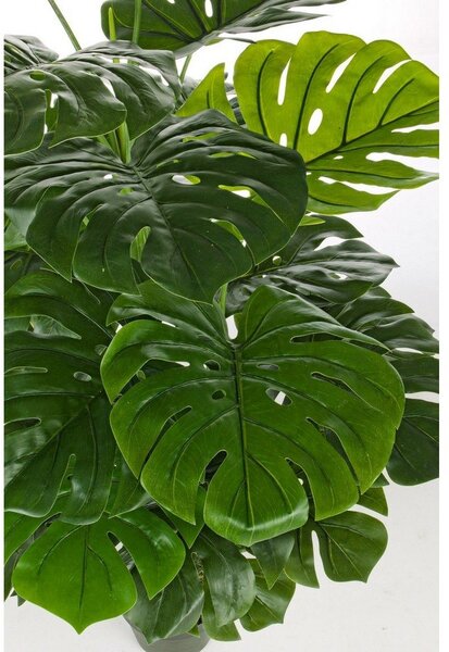 Umělá monstera (výška 120 cm) Philodendron – Bizzotto
